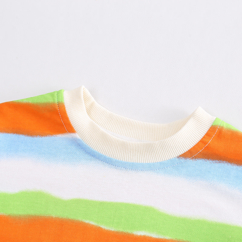 Boy's Multicolor Print T-Shirt & Shorts Set