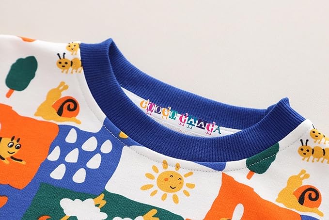 Boy's Multicolor Print Sweatshirt & Pants Set