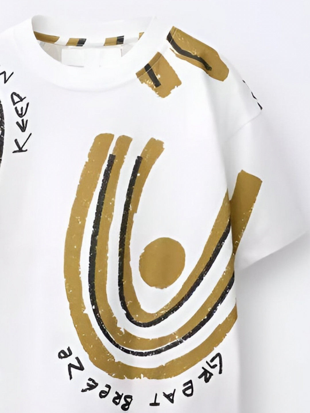 Boys Printed Round Neck Drop-Shoulder Sleeves Pure Cotton T-shirt