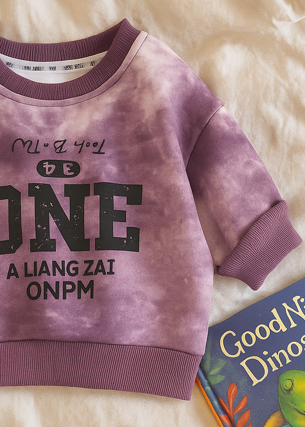 Boy's Cotton Knit Light Winter Full Sleeves Text Print Sweatshirt - Purple