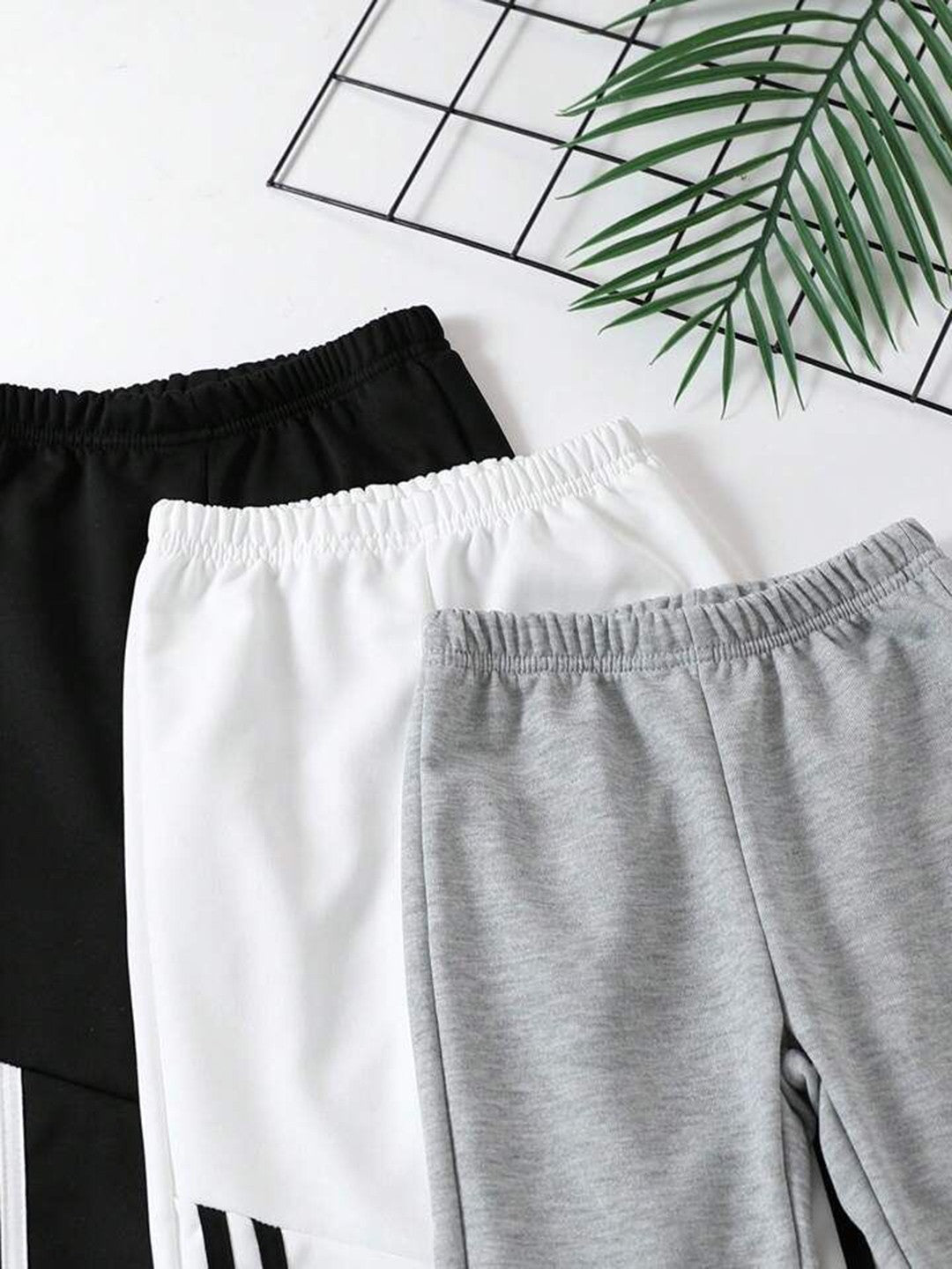 Boy's Cotton Knit Dino Printed Joggers Set Pack of 3 - White, Grey & Black