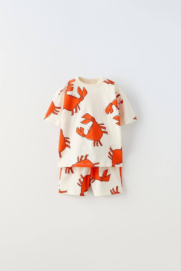 Boy's Cream Teddy Print T-Shirt & Shorts Set