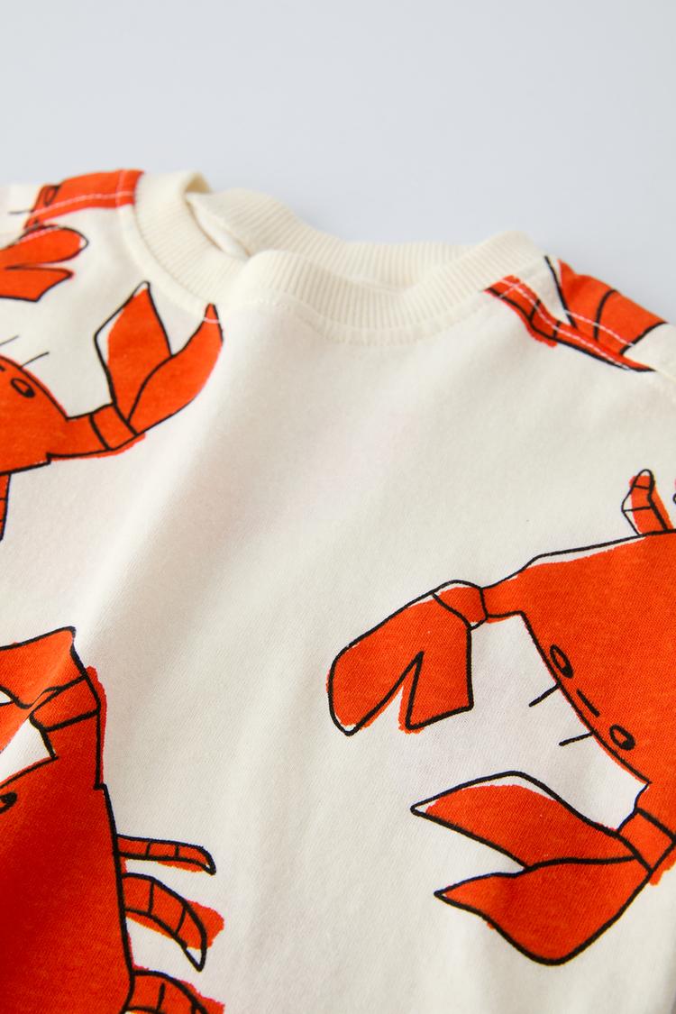 Boy's Cream Teddy Print T-Shirt & Shorts Set