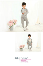 Boy's Grey Sweatshirt & Sweatpants Set