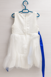 Girl's Blue Blossom Fairy Dress