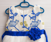Girl's Blue Blossom Fairy Dress