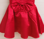 Girl's Royal Red Princess Dress