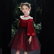 Girl's Wine Red Knee-Length Dress