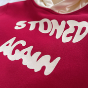 Boy's Cotton Fleece Winter Full Sleeves Text Printed Hooded Sweatshirt & Jogger Pant Set - Red