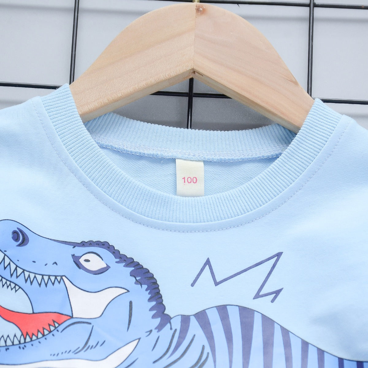 Boy's Dino Print T-Shirt & Shorts Set
