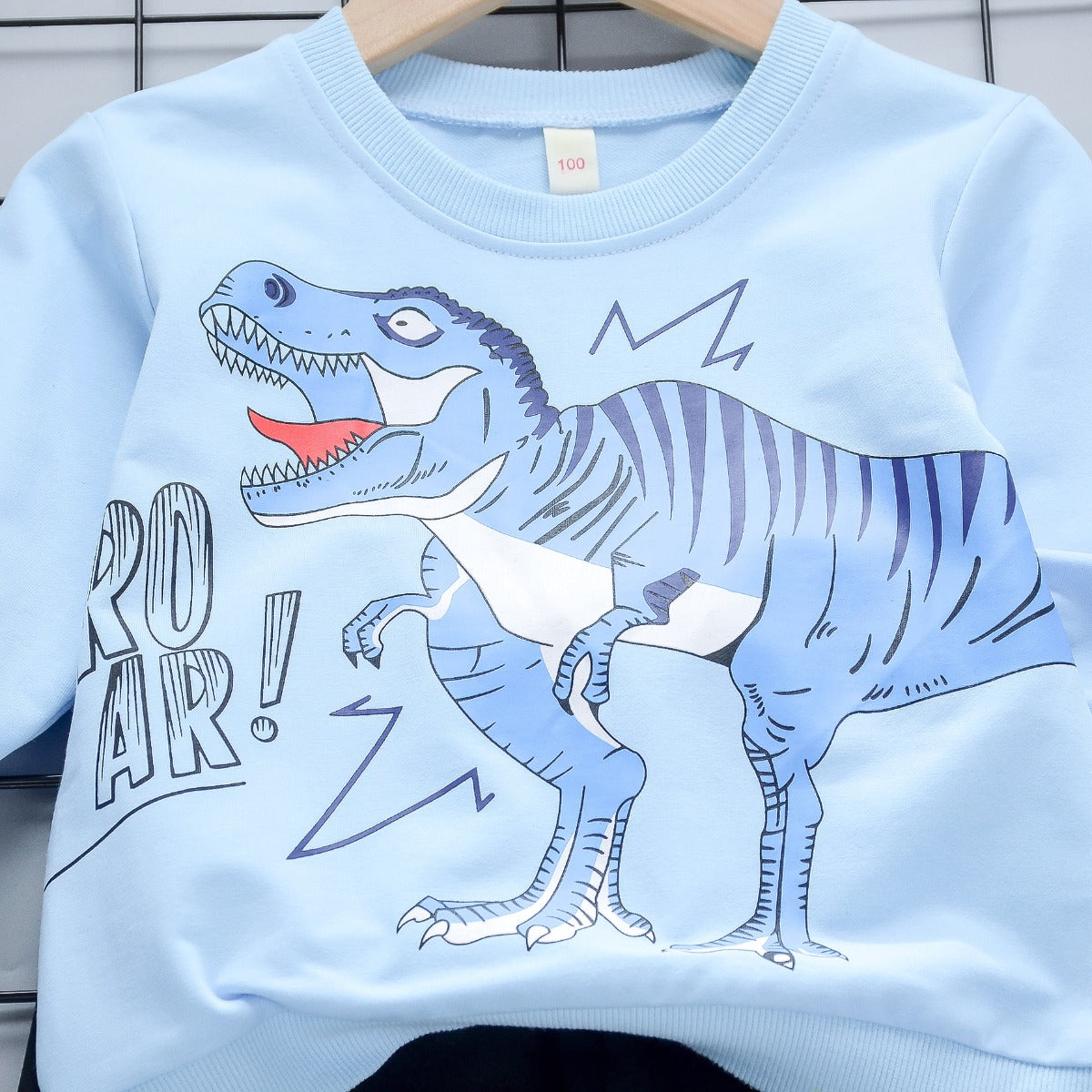 Boy's Dino Print T-Shirt & Shorts Set