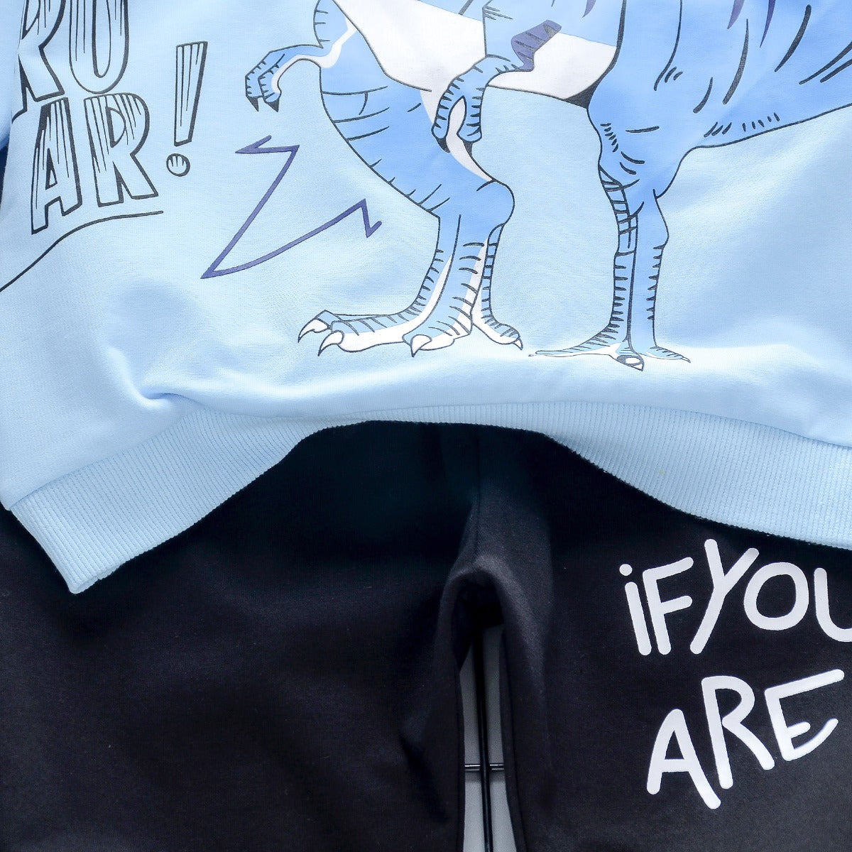 Boy's Dino Print T-Shirt & Shorts Set