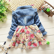 Girl's Floral Full-Sleeve Dress