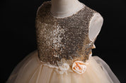 Girl's Champagne Sequin Party Dress