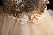 Girl's Champagne Sequin Party Dress