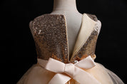 Girl's Champagne Sequin Party Dress