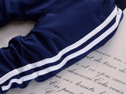 Boy's Hoodie Sweatshirt & Pants Set