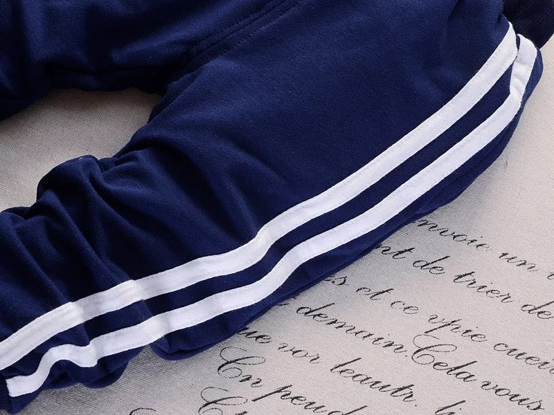 Boy's Hoodie Sweatshirt & Pants Set