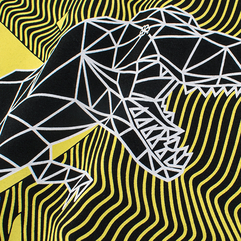 Boy's Black Dino Print T-Shirt