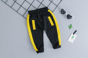 Boy's Multicolor Sweatshirt & Pants Set