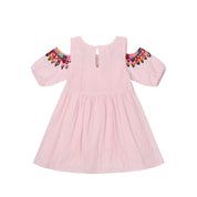 Girl's Pink Embroidered Dress