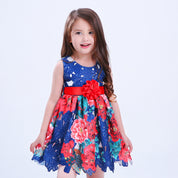Girl's Blue Floral Frock