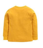Boy's Multicolor Cold Weather T-Shirt & Pajama Set